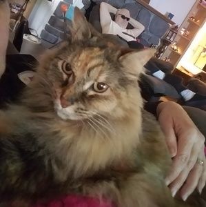 Meet your Posher, Cheryl